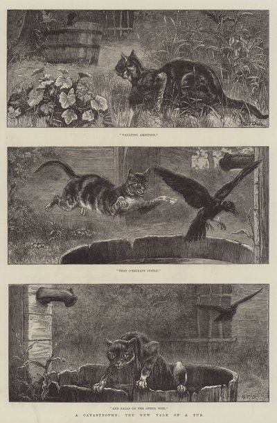 A Catastrophe, the New Tale of a Tub by S.T. Dadd